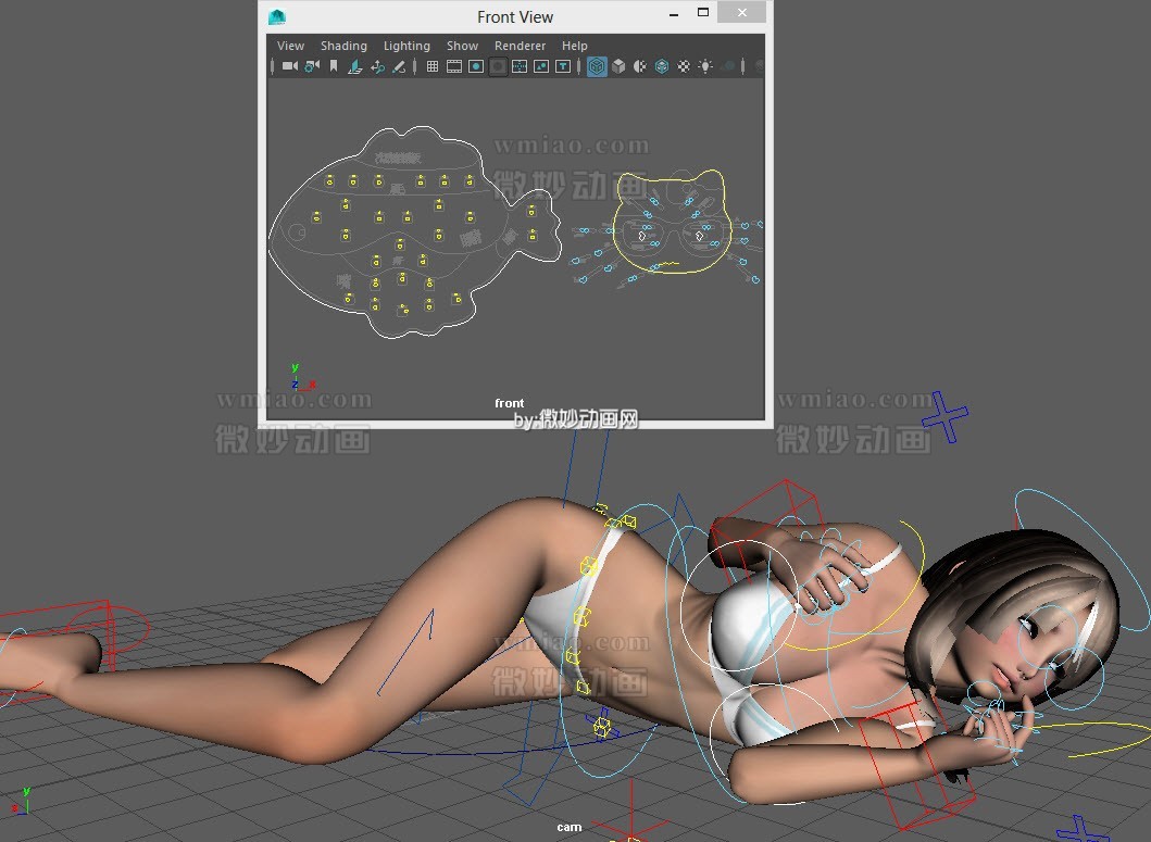 Sexy Cute Woman full rig with textures