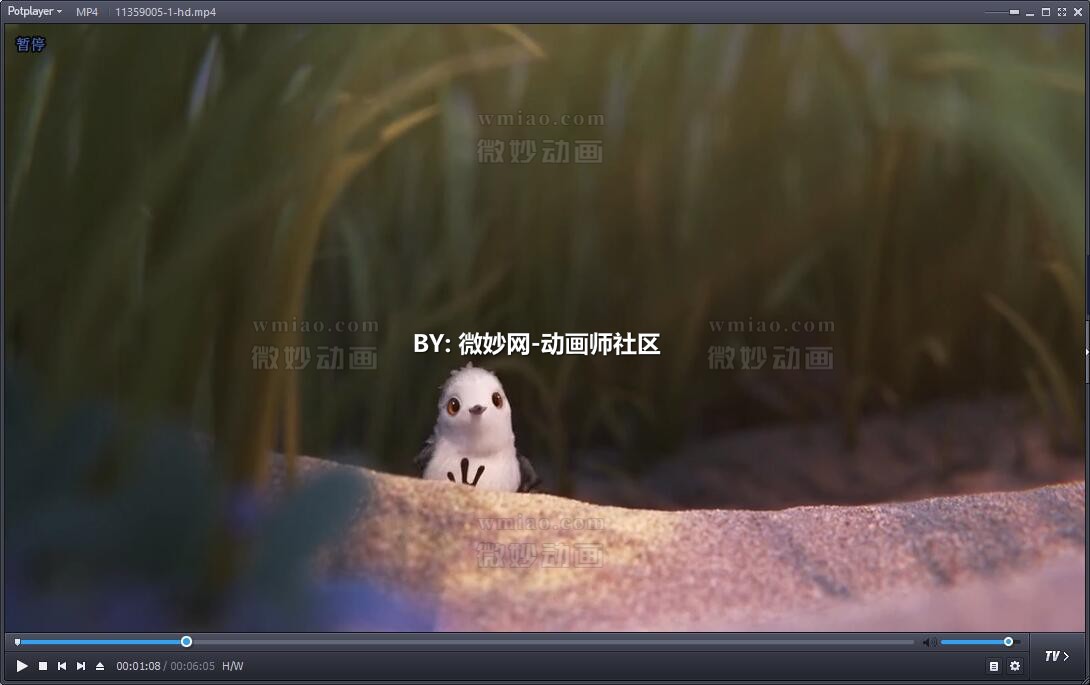 【皮克斯动画短片】《鹬》piper 2016【1080p】 - 动画资料 - 微妙网wmiao.com