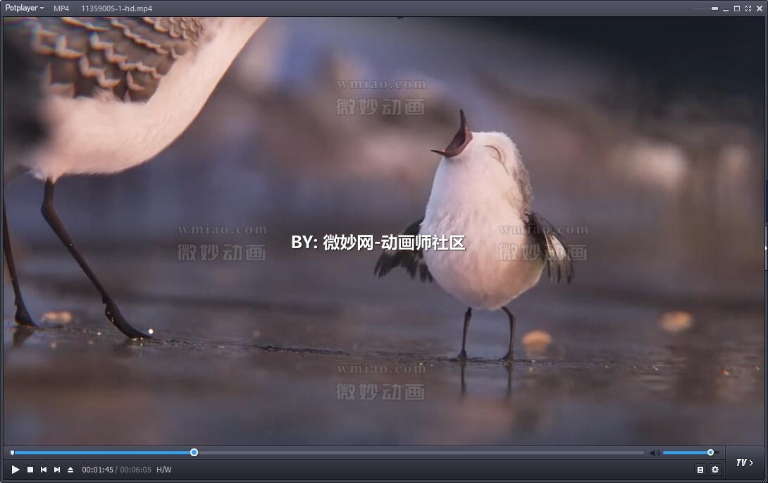【皮克斯动画短片】《鹬》piper 2016【1080p】 - 动画资料 - 微妙网wmiao.com