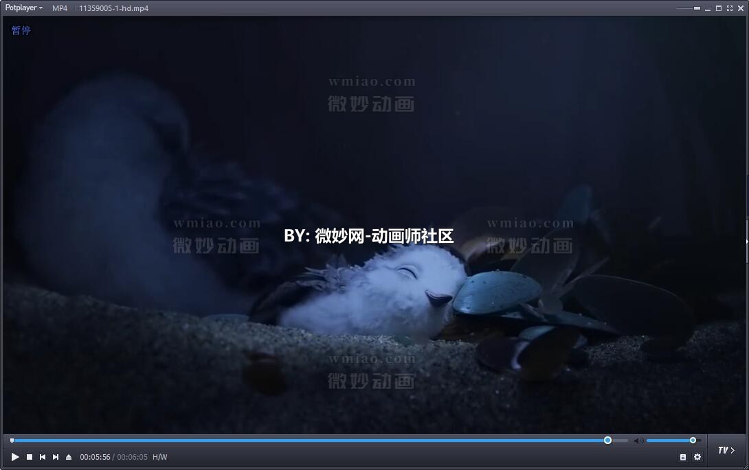 【皮克斯动画短片】《鹬》piper 2016【1080p】 - 动画资料 - 微妙网wmiao.com