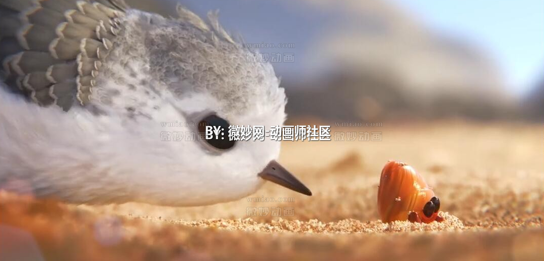 【皮克斯动画短片】《鹬》piper 2016【1080p】 - 动画资料 - 微妙网wmiao.com