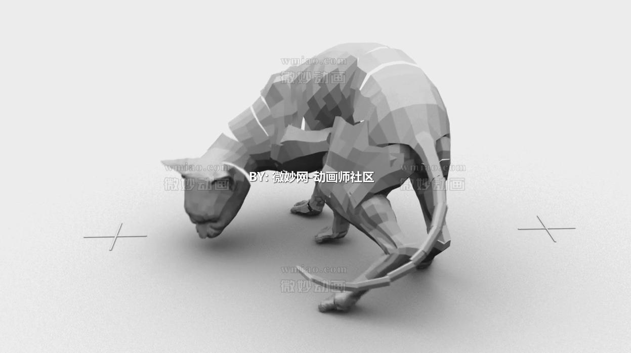 猫动作参考 - 动画资料 - 微妙网wmiao.com