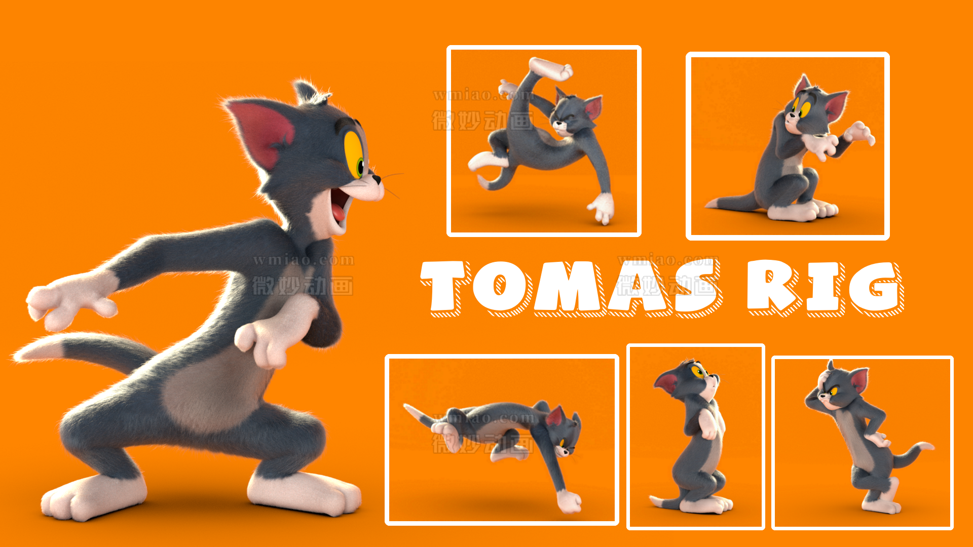 猫和老鼠Tom_rig汤姆猫灯光、场景、毛发、绑定全套 - CG模型 - 微妙网wmiao.com