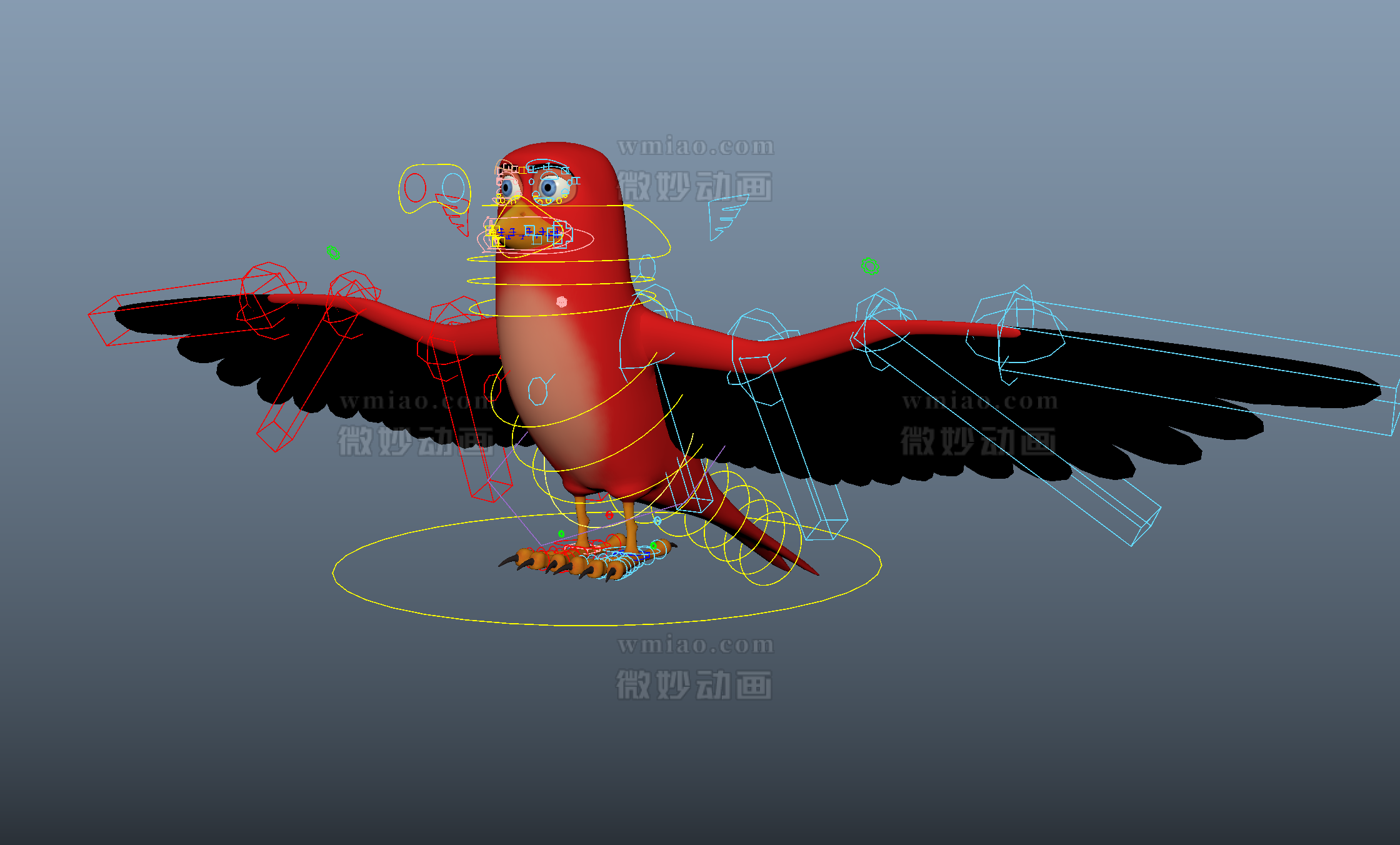 鸟愤怒的小鸟Maya动物模型 - CG模型 - 微妙网wmiao.com